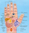 Accupressure hand palm health
